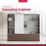 Executive Storage Cabinet BJG012-20 (2.0m)